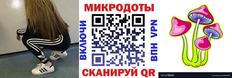 Купить закладки  Пугачёв  Псилоцибиновые грибы Cubensis 